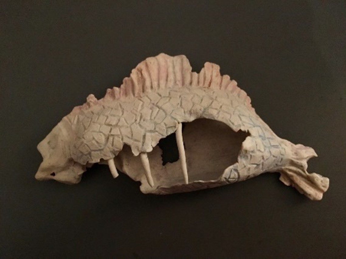 Samantha Skipper's Beached fish