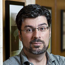 Luis Amaral
