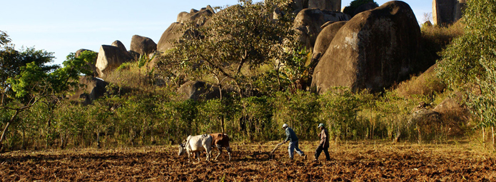 Farmers