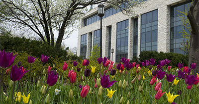 Campus spring flowers.