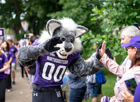 Wildcat high-fiving students