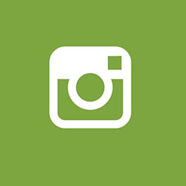 instagramicon-imx-2.jpg