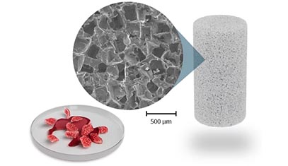 An image of the Citregraft technology