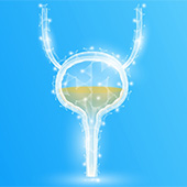 Bright blue background and illustrated bladder in white