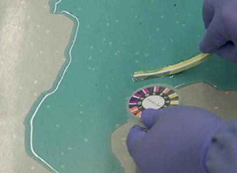 Gloved hand holding a pH strip in a spill of blue liquid on floor of lab