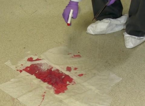 spill of biological materials on floor with paper towels on top being sprayed with disinfectant by lab worker