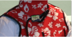 body badge worn over a lead apron