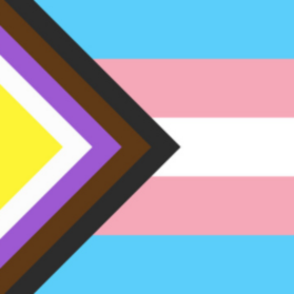 lqbtq and trans flag