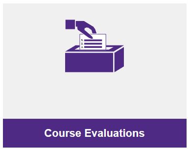 summary ctec reports for instructors dropdown