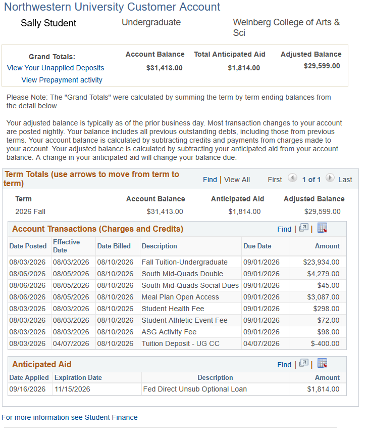 CAESAR Account Bill Image