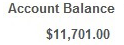 Account Balance