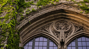 ivy over ornate window