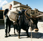 Wood delivers books by any means available, here with a yak-load on the Annapurna Circuit in Nepal in 2001.