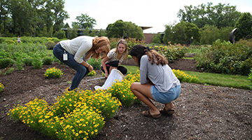 Summer Internship Grants Program