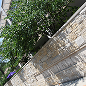 Exterior of Searle