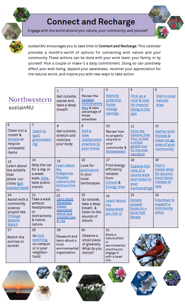 Image of the Connect and Recharge Calendar