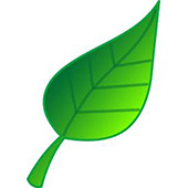 Green Leaf