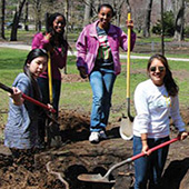 Planting Trees