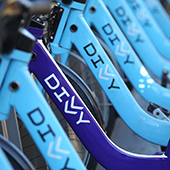 purple divvy