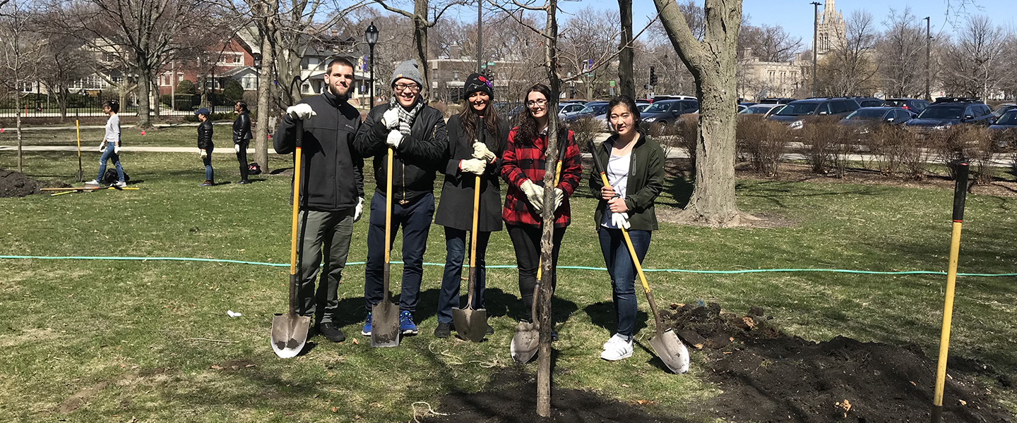 tree planting group