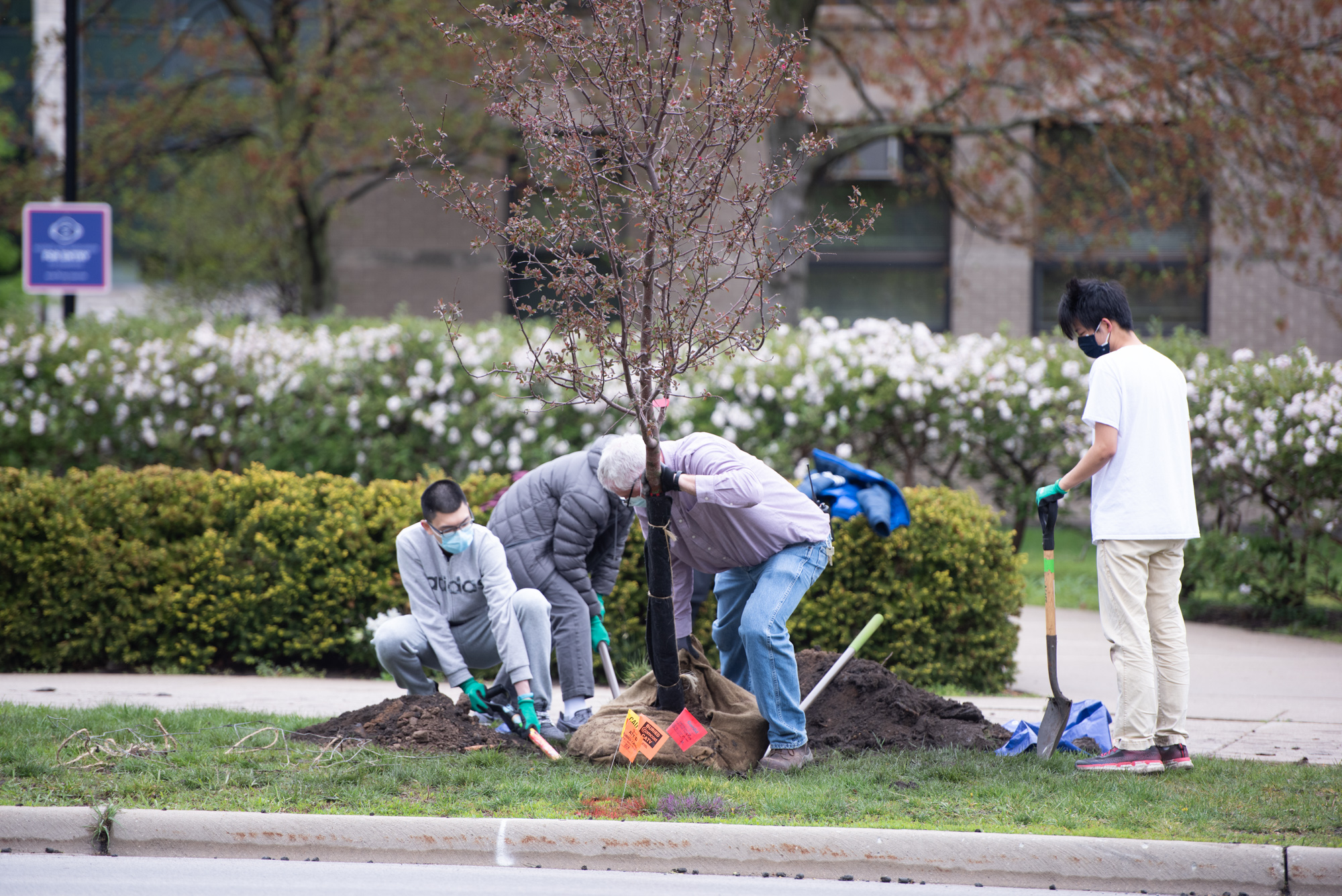 students-planting-tree