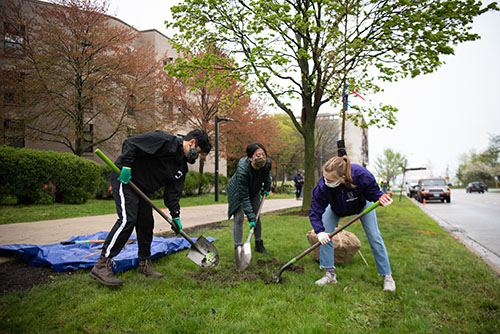 students-planting-trees-2