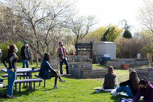 wild-roots-planting-workshop