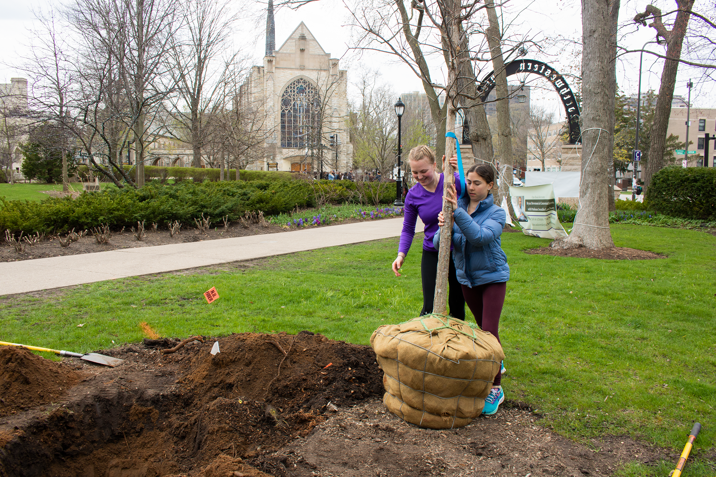 tree-planting.png