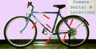 location of bike serial numbers