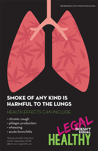 cannabis-lungs-full.jpg