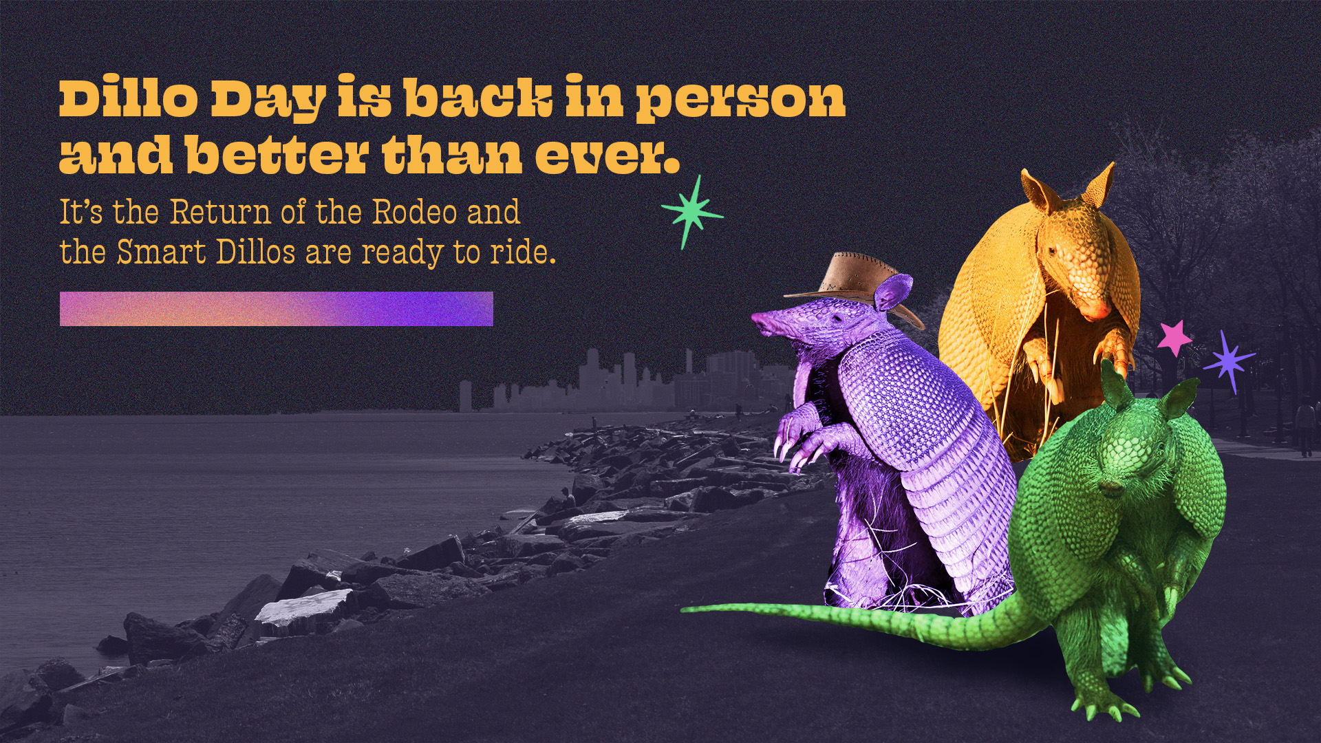Smart Dillo Campaign Wellness at Northwestern Northwestern University